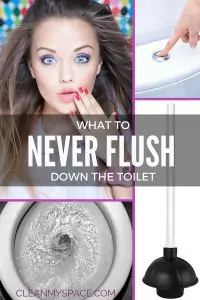 NEVER FLUSH